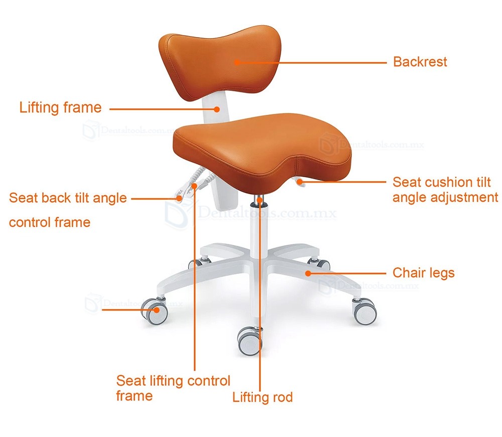 PLST-060 Ergonómico ajustable taburete dental con respaldo sillas para dentistas durabilidad y comodidad