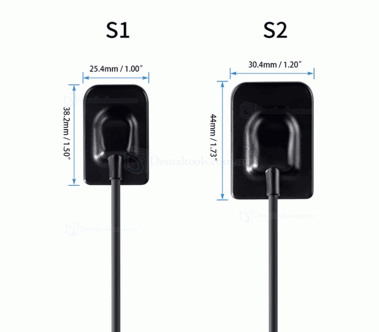 Máquina de rayos X dental portátil de alta frecuencia + Kit de sensor de rayos X RVG Máquina de rayos X dental portátil de alta frecuencia + Kit de sensor de rayos X RVG